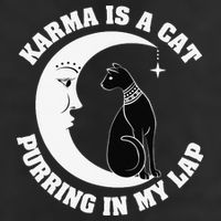 Karma Is A Cat Purring In My Lap 25L Jumbo Tote