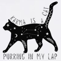 Karma is a Cat purring in my Lap Cat Lover T-Shirt