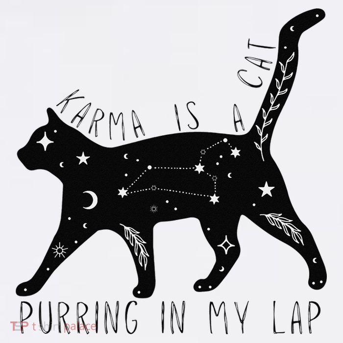 Karma is a Cat purring in my Lap Cat Lover Bucket Hat