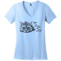 Karma Is A Cat Purring In My Lap Cause It Loves Me Cute Cat Christmas Women's V-Neck T-Shirt