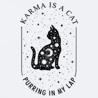 Karma Is A Cat Purring In My Lap Sueded Cloud Jersey T-Shirt