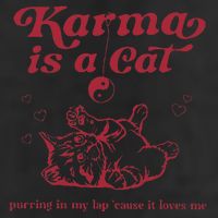 Karma Is A Cat Music Lover Fan Gift 7 Panel Mesh Trucker Snapback Hat