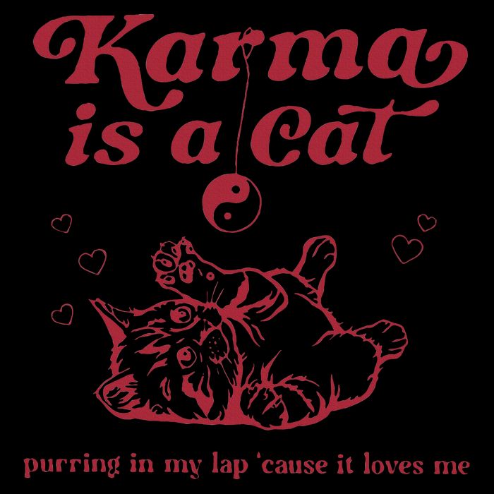 Karma Is A Cat Music Lover Fan Gift Flat Bill Trucker Hat