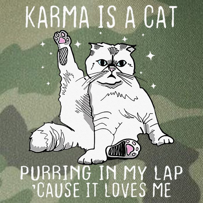 Karma Is A Cat Purring In My Lap Cause Its Loves Me Legacy Tie Dye Trucker Hat