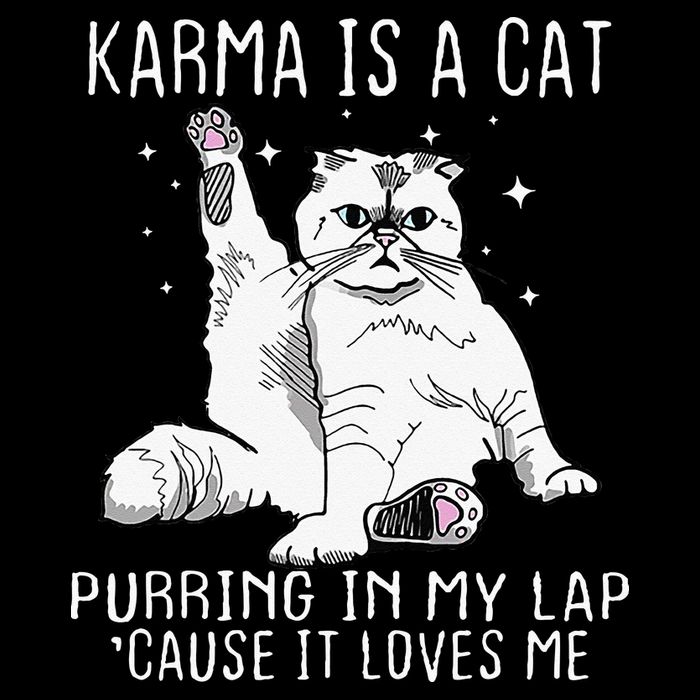 Karma Is A Cat Purring In My Lap Cause Its Loves Me Drawstring Bag