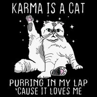 Karma Is A Cat Purring In My Lap Cause Its Loves Me Cooling Performance Long Sleeve Crew
