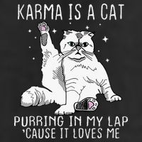 Karma Is A Cat Purring In My Lap Cause Its Loves Me 25L Jumbo Tote