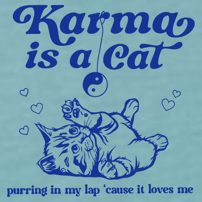 Karma Is A Cat Purring In My Lap Sueded Cloud Jersey T-Shirt