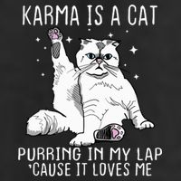 Karma Is A Cat Purring In My Lap Cause It Loves Me Cat Lover Essential Adult Drive Performance Visor