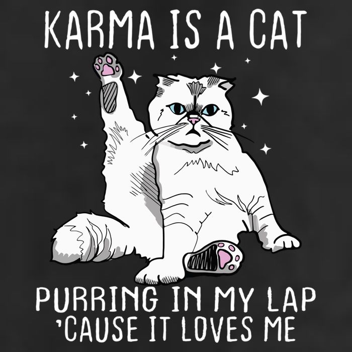 Karma Is A Cat Purring In My Lap Cause It Loves Me Cat Lover Essential Adult Drive Performance Visor