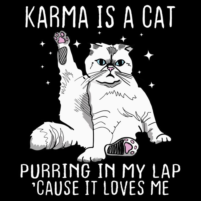 Karma Is A Cat Purring In My Lap Cause It Loves Me Cat Lover Essential Bucket Hat