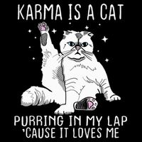 Karma Is A Cat Purring In My Lap Cause It Loves Me Cat Lover Essential Toddler Hoodie