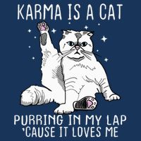 Karma Is A Cat Purring In My Lap Cause It Loves Me Cat Lover Essential Infant Baby Jersey Bodysuit