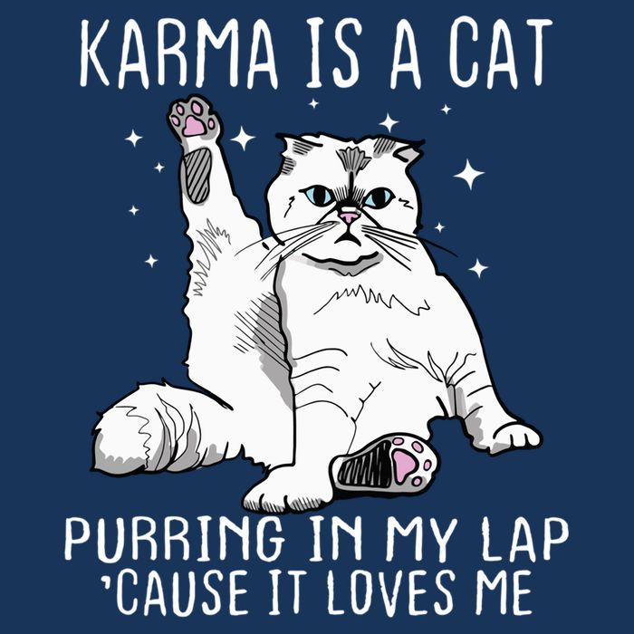 Karma Is A Cat Purring In My Lap Cause It Loves Me Cat Lover Essential Infant Baby Jersey Bodysuit