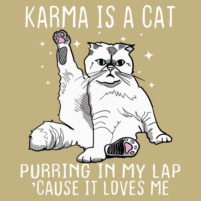 Karma Is A Cat Purring In My Lap Cause It Loves Me Cat Lover Essential Performance Shirt