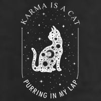 Karma Is A Cat Purring In My Lap Adult Drive Performance Visor