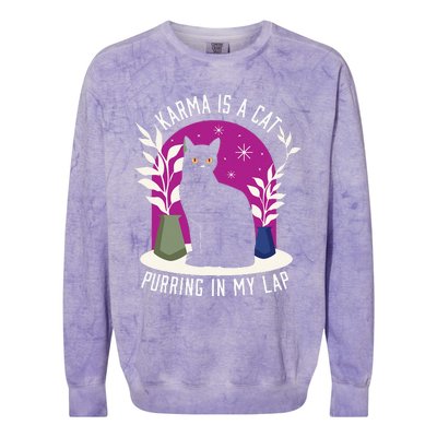 Karma Is A Cat Purring In My Lap Funny Cat Lovers Colorblast Crewneck Sweatshirt