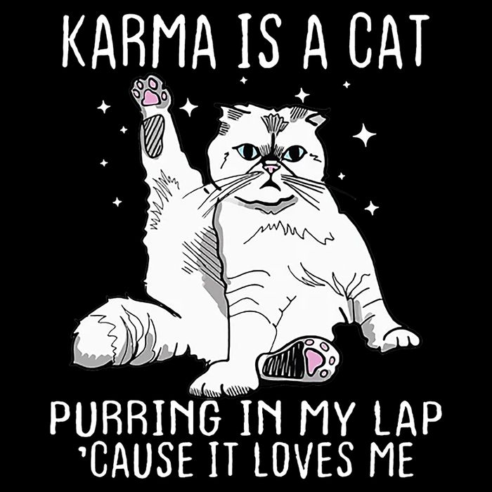Karma Is A Cat Purring In My Lap Cause Its Loves Me Impact Tech Backpack