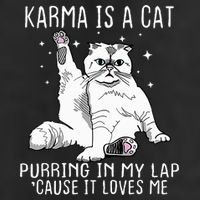 Karma Is A Cat Purring In My Lap Cause Its Loves Me 25L Jumbo Tote