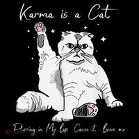 Karma Is A Cat Purring In My Lap Cause It Loves Me Cat Lover Stripe Pom Pom Beanie
