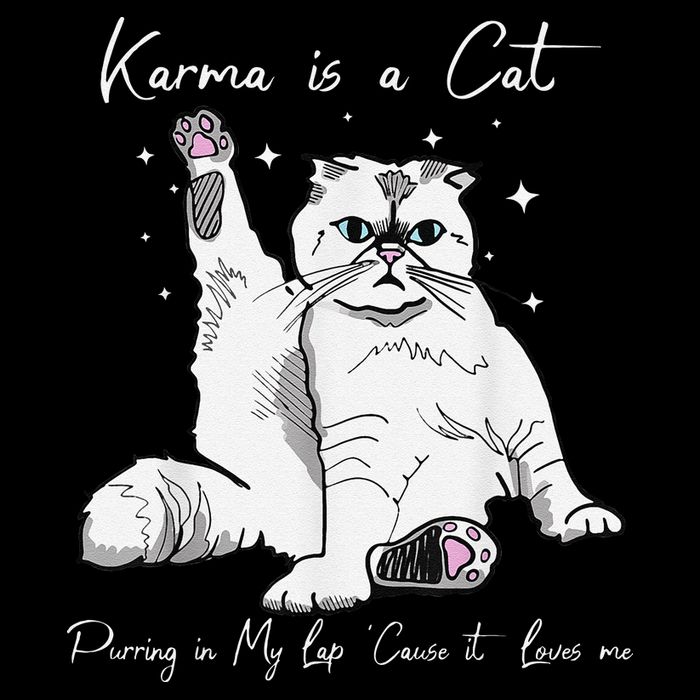 Karma Is A Cat Purring In My Lap Cause It Loves Me Cat Lover 16 in Basic Backpack