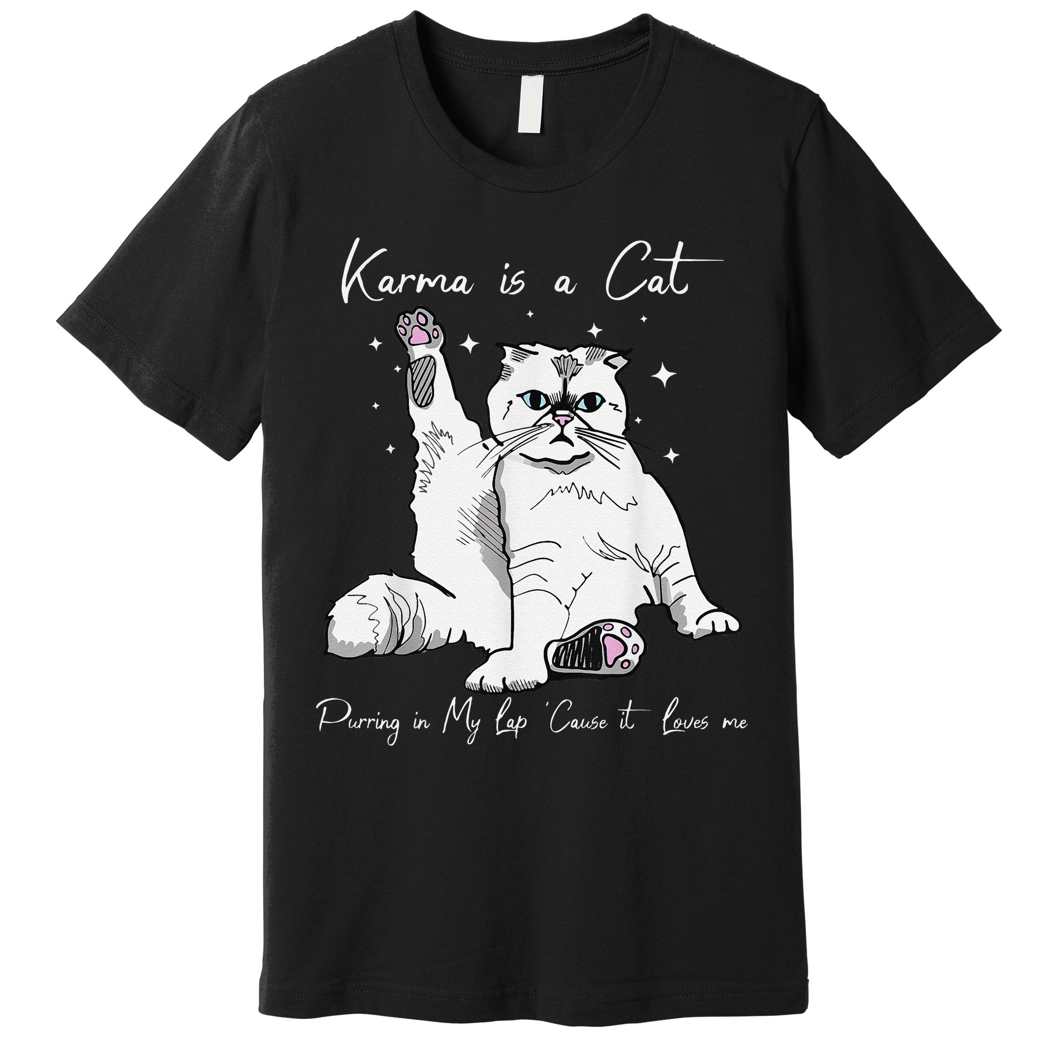 Karma Is A Cat Purring In My Lap Cause It Loves Me Cat Lover Premium T-Shirt