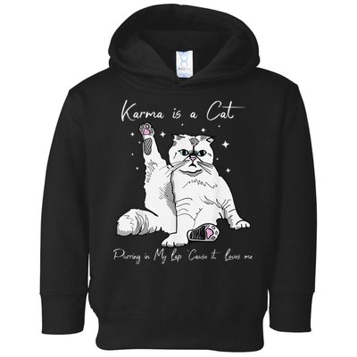 Karma Is A Cat Purring In My Lap Cause It Loves Me Cat Lover Toddler Hoodie
