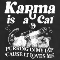Karma Is A Cat Purring In My Lap Cause It Loves Me 7 Panel Mesh Trucker Snapback Hat