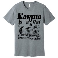 Karma Is A Cat Purring In My Lap Cause It Loves Me Premium T-Shirt