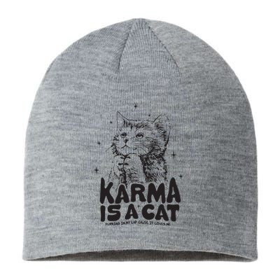 Karma Is A Cat Shirts Taylor Eras Cat Lover Sustainable Beanie