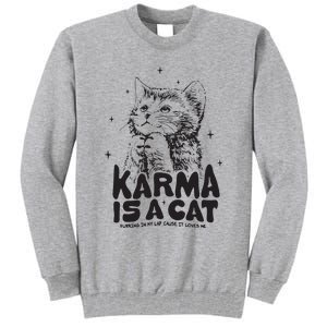 Karma Is A Cat Shirts Taylor Eras Cat Lover Tall Sweatshirt