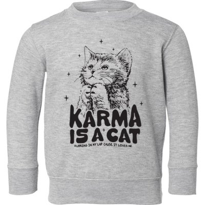 Karma Is A Cat Shirts Taylor Eras Cat Lover Toddler Sweatshirt