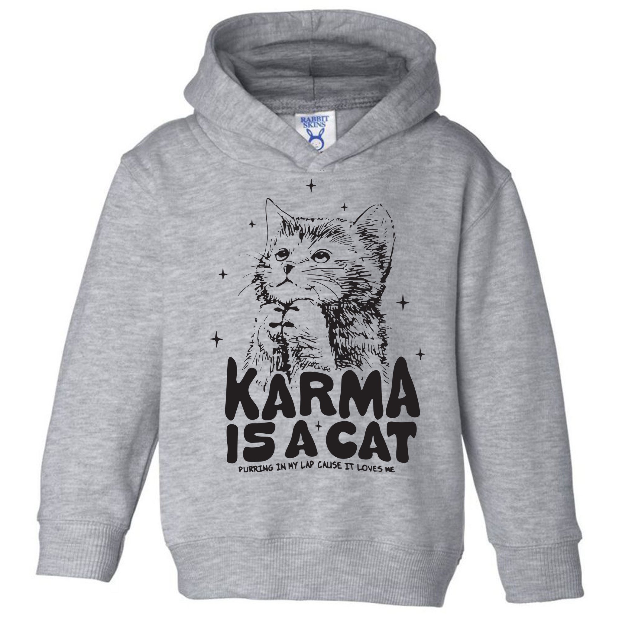 Karma Is A Cat Shirts Taylor Eras Cat Lover Toddler Hoodie
