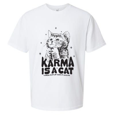 Karma Is A Cat Shirts Taylor Eras Cat Lover Sueded Cloud Jersey T-Shirt