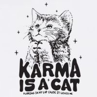 Karma Is A Cat Shirts Taylor Eras Cat Lover Cooling Performance Crew T-Shirt