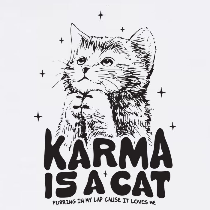 Karma Is A Cat Shirts Taylor Eras Cat Lover Cooling Performance Crew T-Shirt