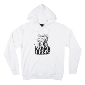 Karma Is A Cat Shirts Taylor Eras Cat Lover Hoodie