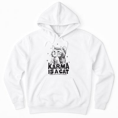 Karma Is A Cat Shirts Taylor Eras Cat Lover Hoodie