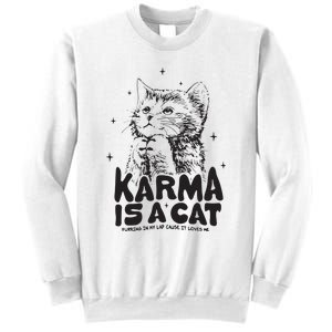 Karma Is A Cat Shirts Taylor Eras Cat Lover Sweatshirt