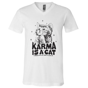 Karma Is A Cat Shirts Taylor Eras Cat Lover V-Neck T-Shirt