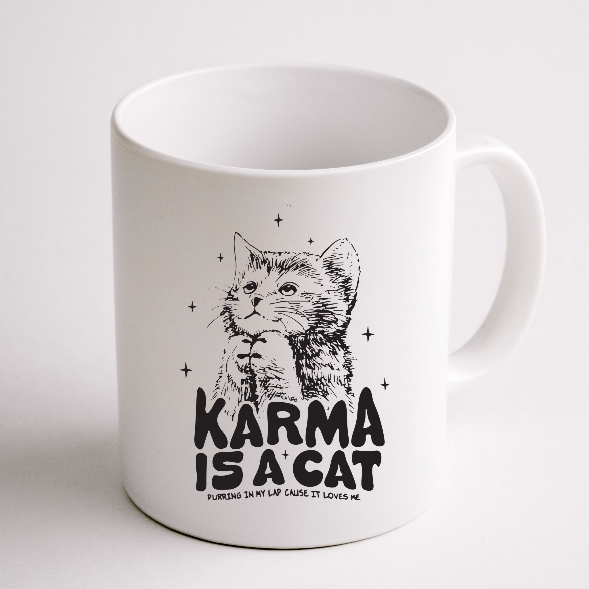Karma Is A Cat Shirts Taylor Eras Cat Lover Mug