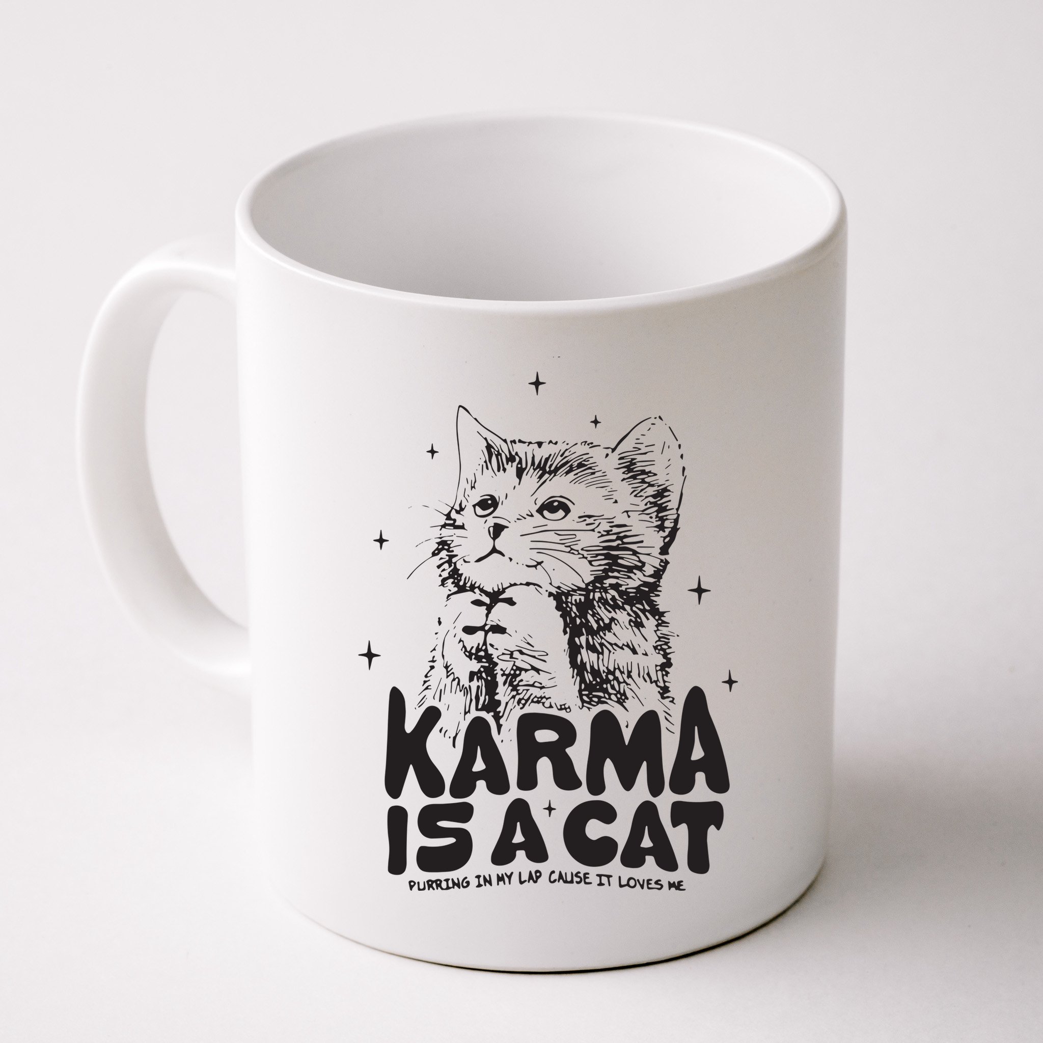 Karma Is A Cat Shirts Taylor Eras Cat Lover Mug