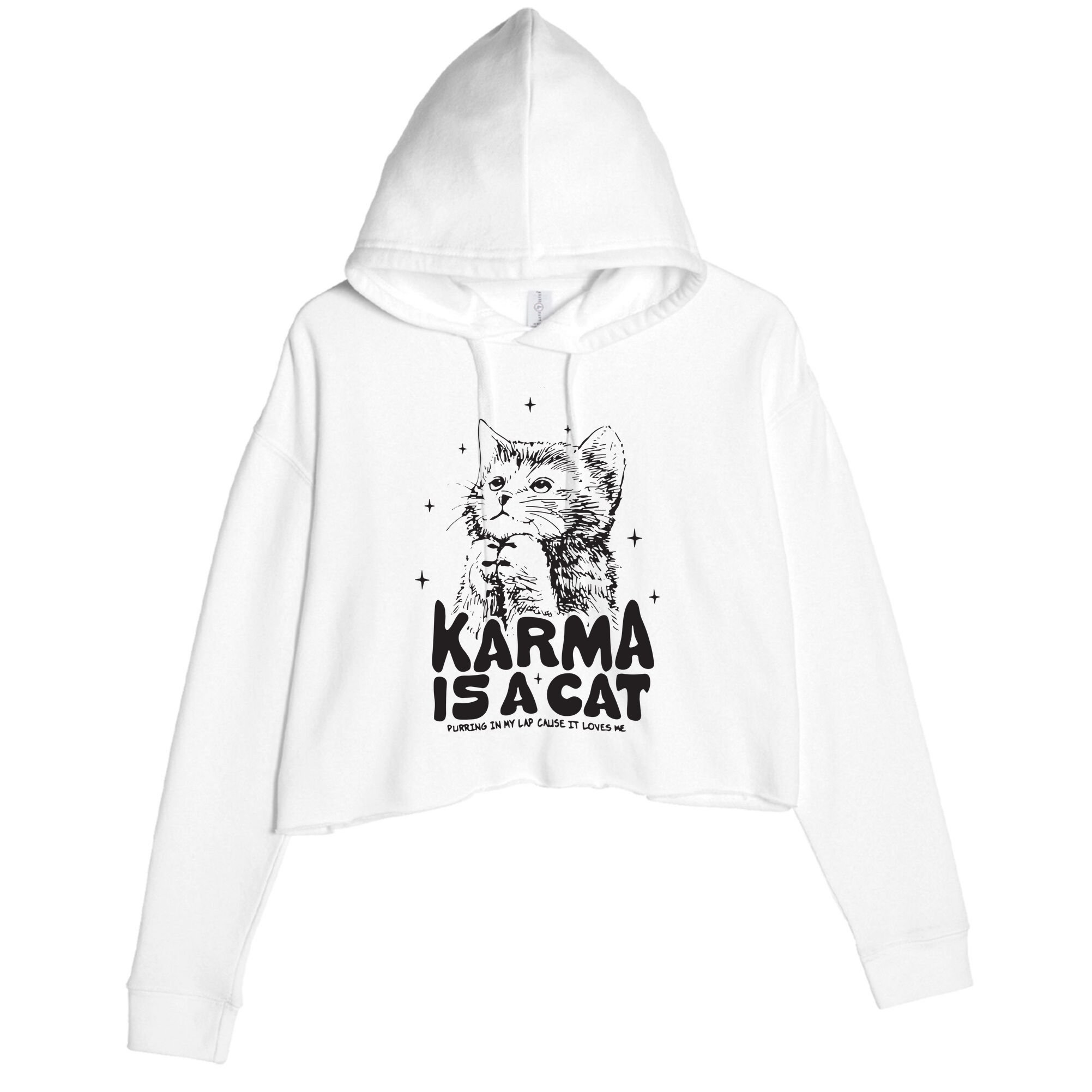 Karma Is A Cat Shirts Taylor Eras Cat Lover Crop Fleece Hoodie