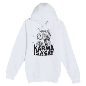 Karma Is A Cat Shirts Taylor Eras Cat Lover Premium Pullover Hoodie