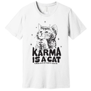 Karma Is A Cat Shirts Taylor Eras Cat Lover Premium T-Shirt