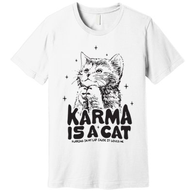 Karma Is A Cat Shirts Taylor Eras Cat Lover Premium T-Shirt
