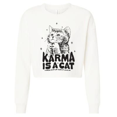 Karma Is A Cat Shirts Taylor Eras Cat Lover Cropped Pullover Crew