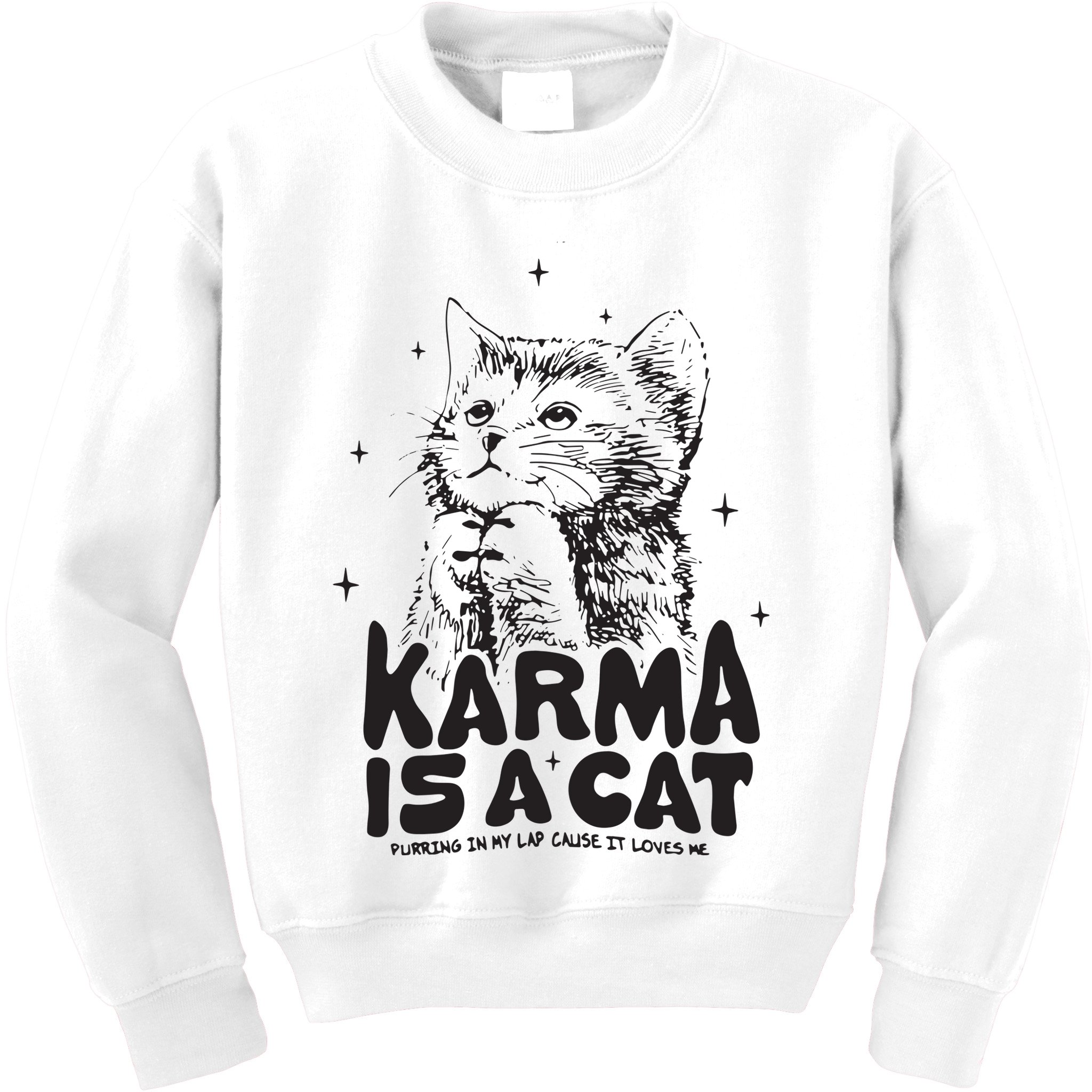 Karma Is A Cat Shirts Taylor Eras Cat Lover Kids Sweatshirt