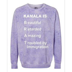 Kamala Is Brat Beautiful Retarded Amazing Troubled By Immigration Colorblast Crewneck Sweatshirt