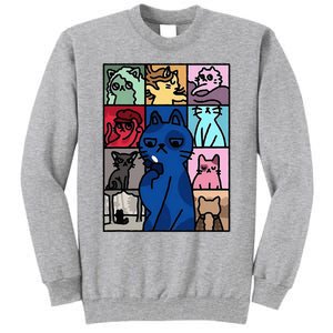 Karma Is Cat Cat Lover Tall Sweatshirt